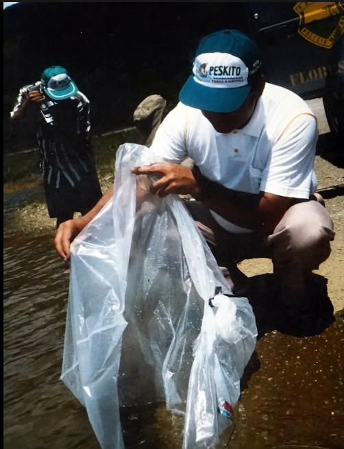 Reinold Baudisch, my father, letting go of fish hatchlings into the Represa do Capivari – PR.